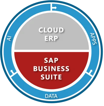 SAP S/4HANA Cloud, ERP