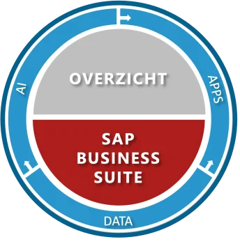 SAP Business Suite Overzicht